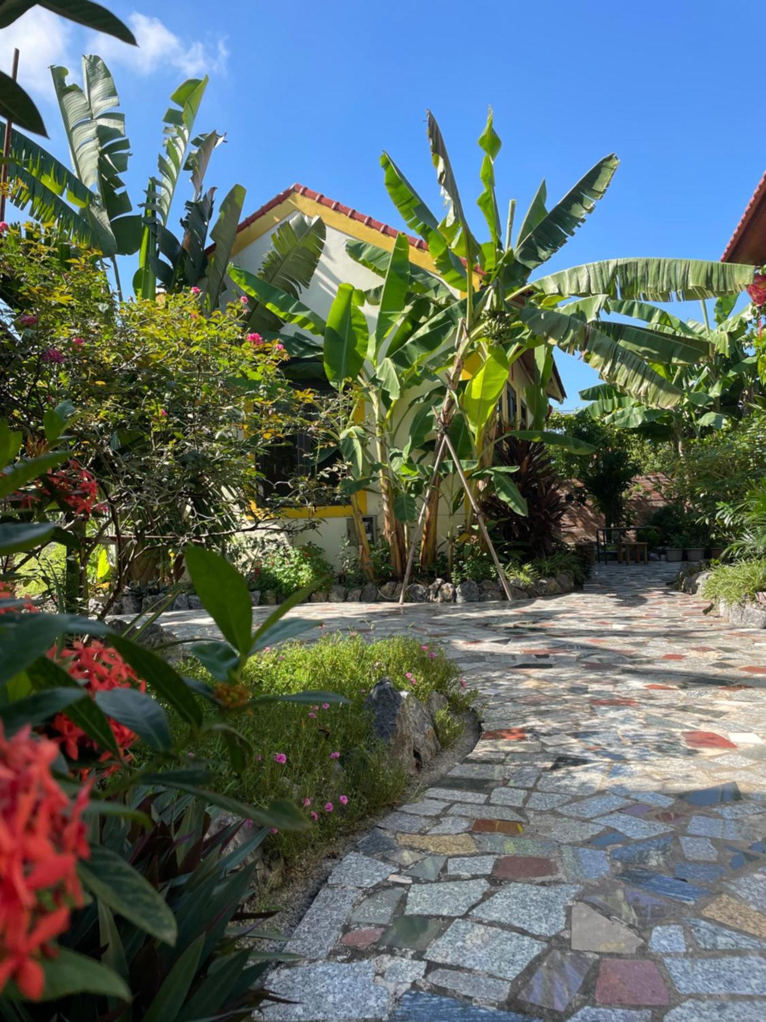 Ninh Binh Royal Homestay Exteriér fotografie